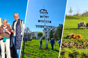 Julia Retzlaff Maibaum Braunschweig SPD Landtag