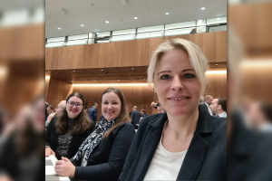 Plenarbrief November